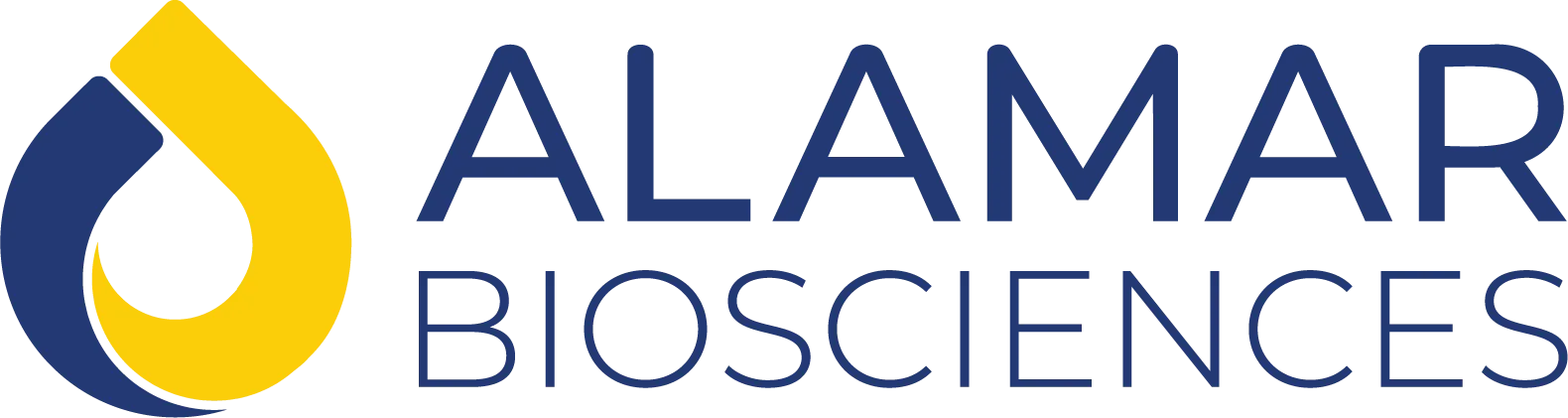 Silver Sponsor Logo